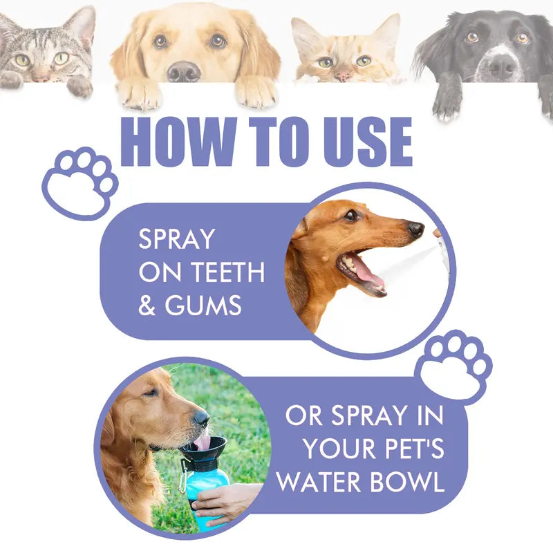🔥2026 New Arrivals: 50% Off for a Limited Time!🔥Trilumia® Teeth Cleaning Spray for Pets