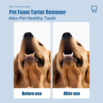 Last Day: Buy More Get More Free🔥🔥Trilumia® No-Brush Pet Teeth Cleaning Spray🐕🐱
