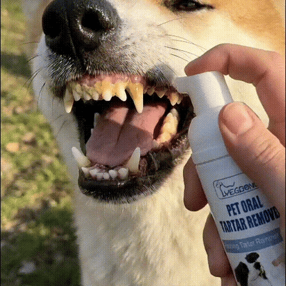 Last Day: Buy More Get More Free🔥🔥Trilumia® No-Brush Pet Teeth Cleaning Spray🐕🐱