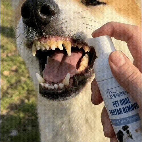 ⭐Last Day: Buy More Get More Free🔥🔥MAVONIQUECOSH® No-Brush Pet Teeth Cleaning Spray🐕🐱 (Copy)
