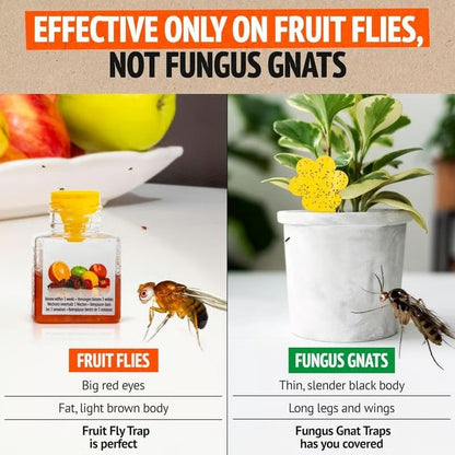 🔥LAST DAY 50% OFF - Ultra-Strong Fruit Fly Trap - User Friendly (Up to 3 Weeks per Bottle)
