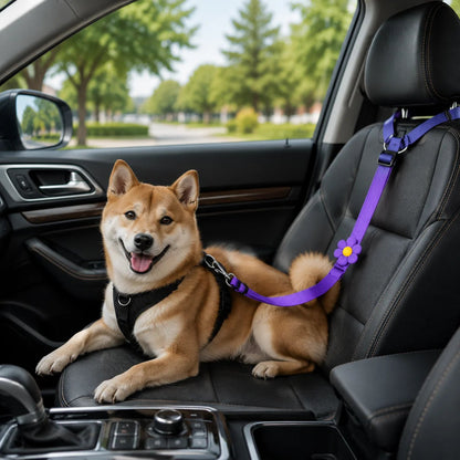 ✨️BUY 1 GET 1 FREE 🎁2-in-1 Dog Car Seat Belt & Walking Leash