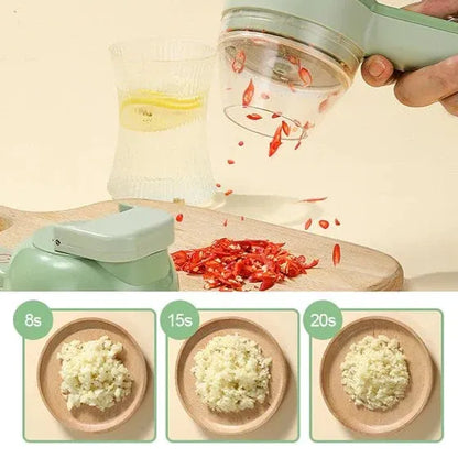 Handheld Electric Food Processor Detail